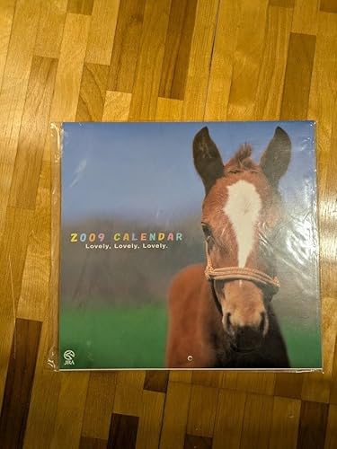 2009�N JRA �J�����_�[ �`���̖Ĕn���� �f�b�h�X�g�b�N ��l