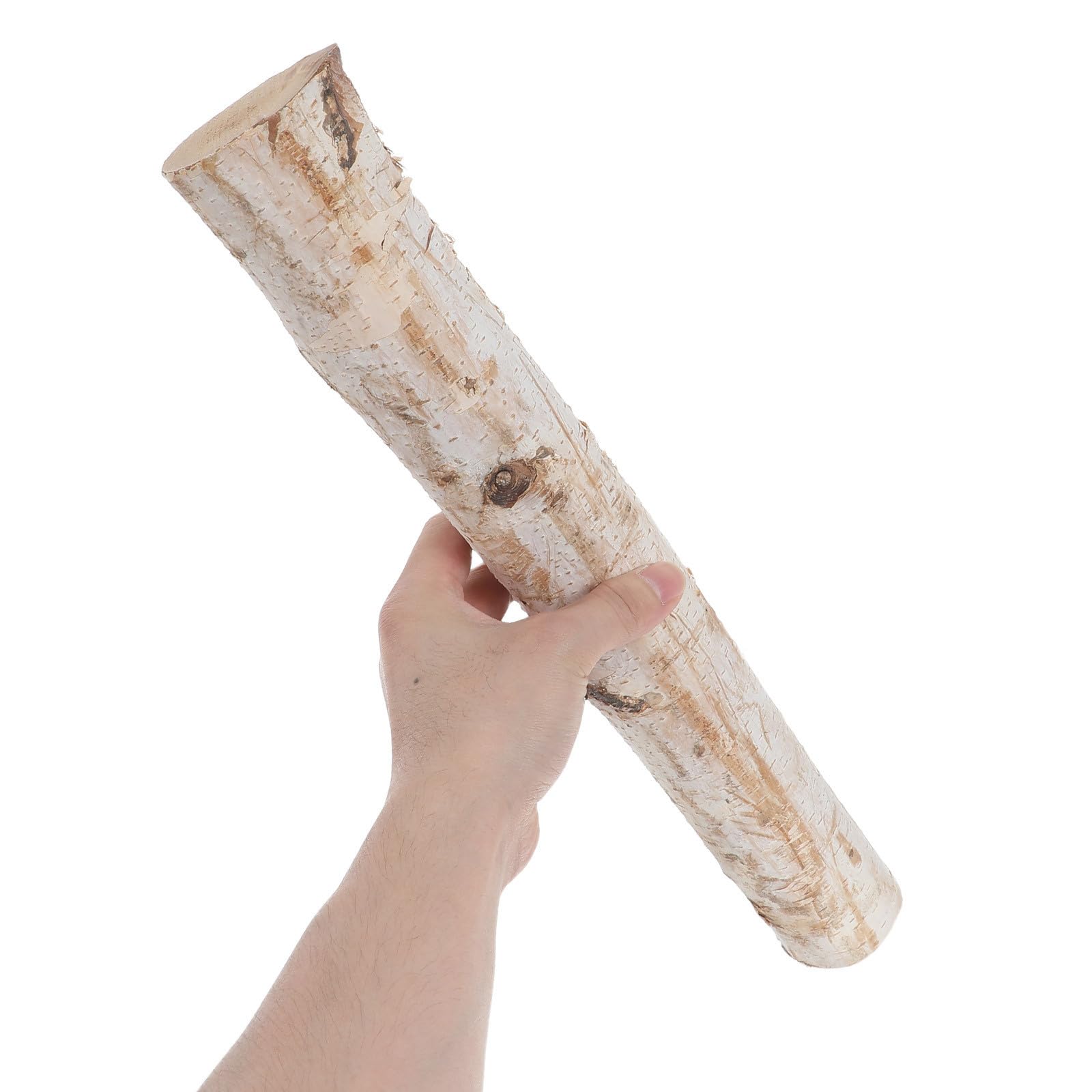 Housoutil Tronchetti Legno di Betulla Naturale 2 Pezzi Decorativi e Affidabili per Artigianato e Decorazioni per Soggiorno ed Eventi a Tema