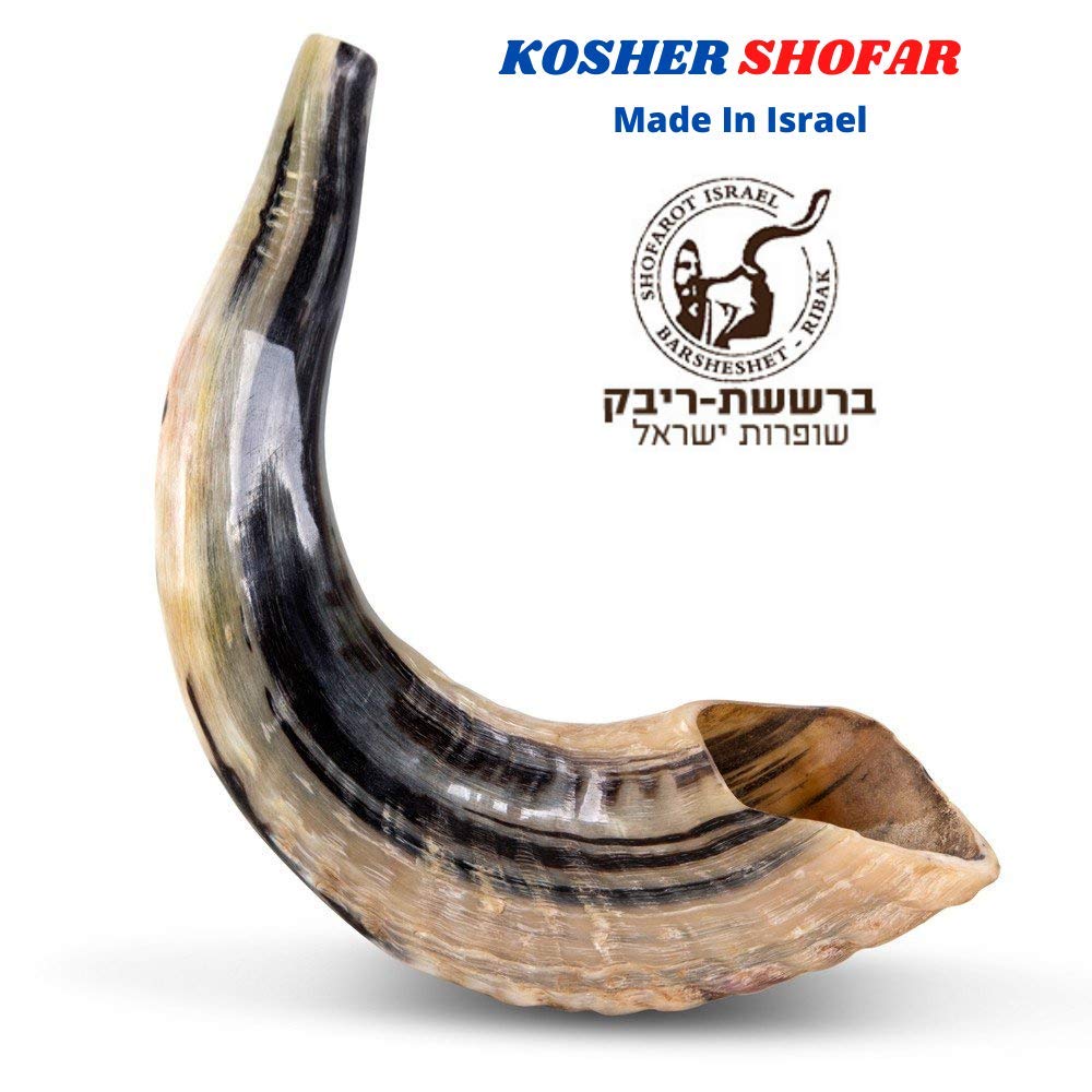 Kosher Shofar From Israel Shofar Kosher Twisted Rams Horn Polished ...
