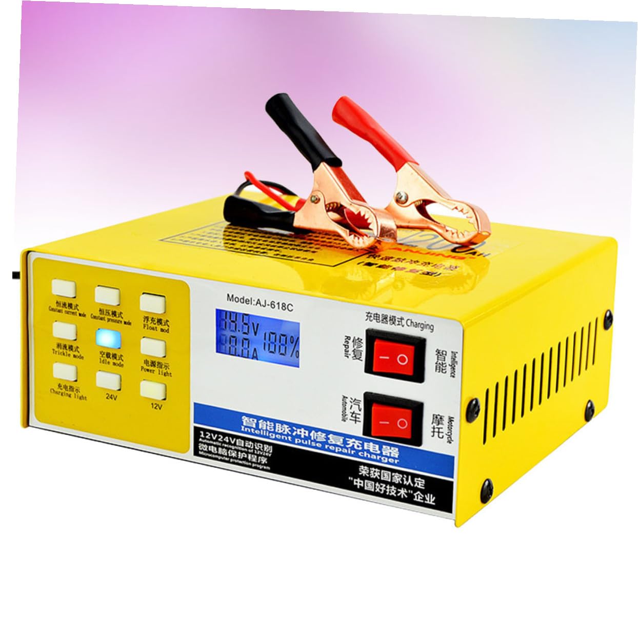 MAGICLULU Caricabatteria per Batteria Auto e Moto 12v-24v 220w Metallo Carica Automatica e Arresto Automatico per Batterie Gel Generale