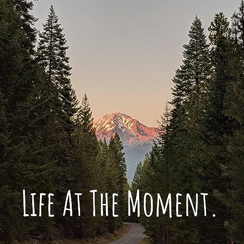 Life At The Moment. cover art