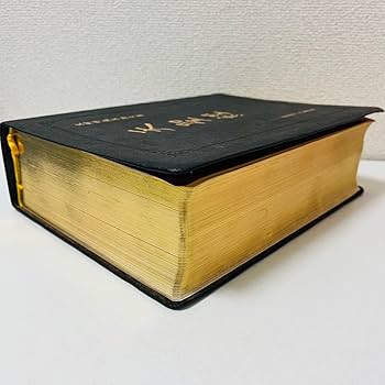 Amazon.co.jp: 天聖経 黒 初版 統一教会 : おもちゃ