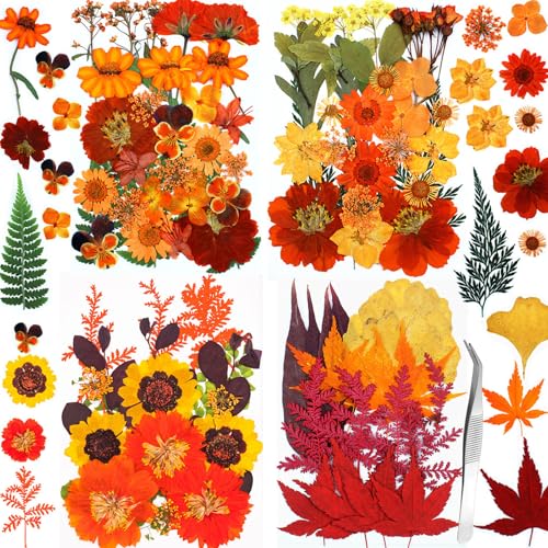 Flores prensadas secas otoño para manualidades 103 piezas miniatura 1