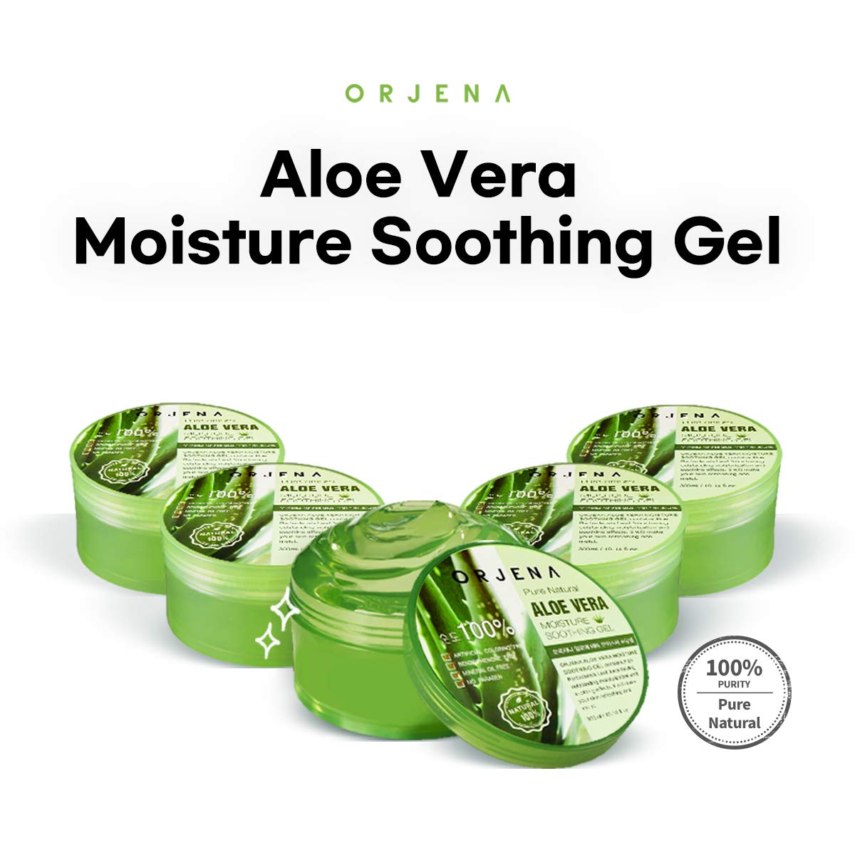 aloe vera pflanze kaufen münchen Aloe Vera „Alfonso“ – Aloe-Vera-Pflanze in Gärtnerqualität kaufen