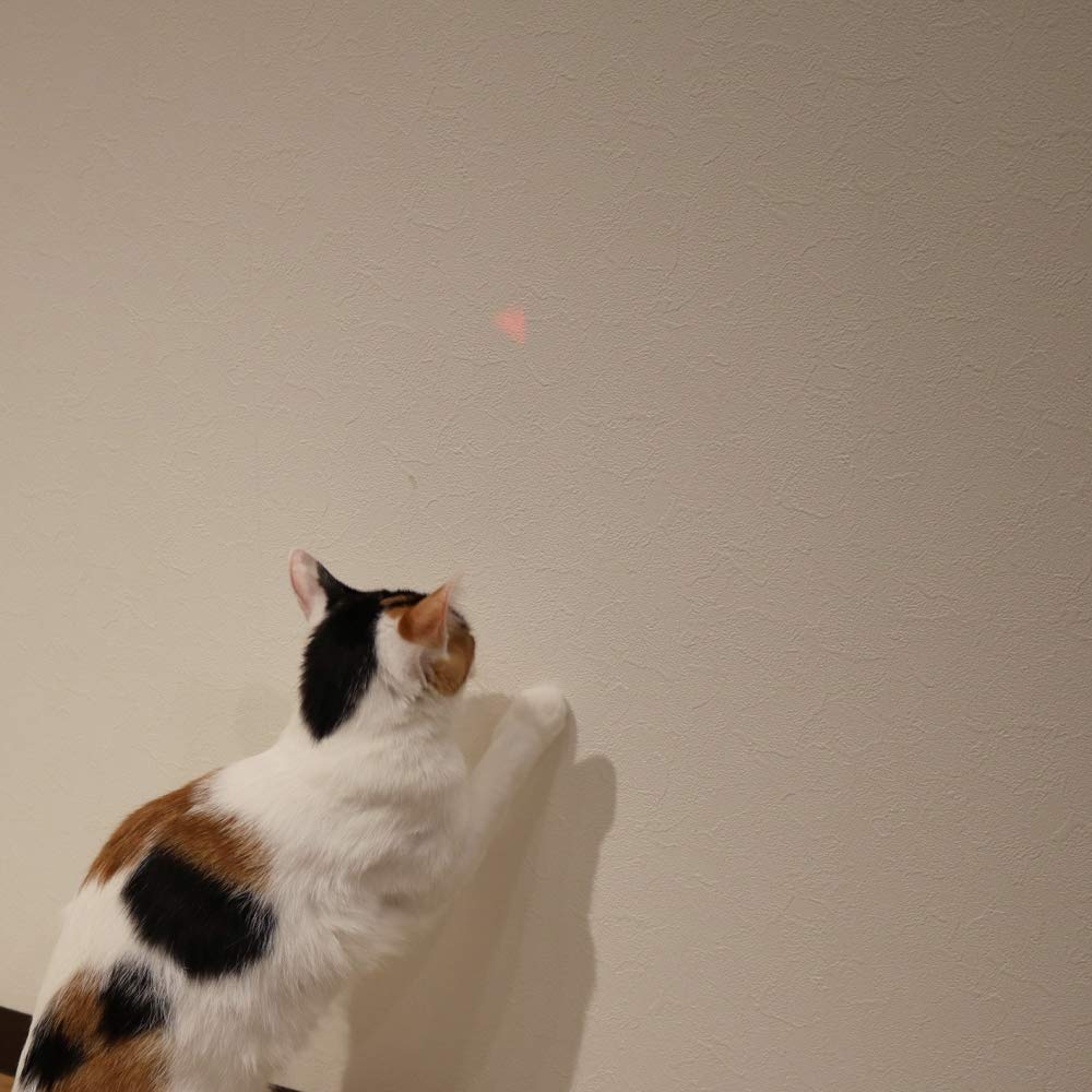 Amazon | キャティーマン 猫用おもちゃ じゃれ猫 LEDニャンだろ~! 光線