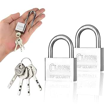 Amazon | 南京錠 2個セット ステンレススチールパドロック