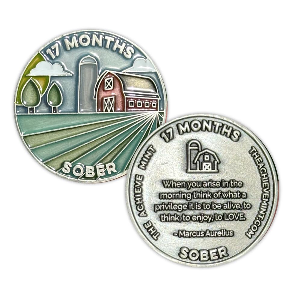 Image of The Achieve Mint 17 Months Sober Token | Seventeen Months Sober Chip | Non-AA Gift, Non-Religious Medallions for Men and Women Celebrating Sobriety