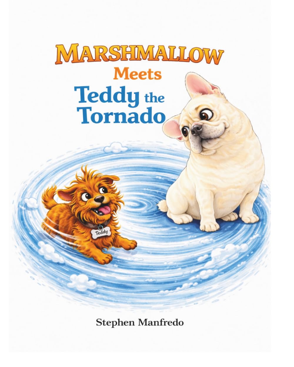 Marshmallow Meets Teddy the Tornado (My Name Is Marshmallow Series)