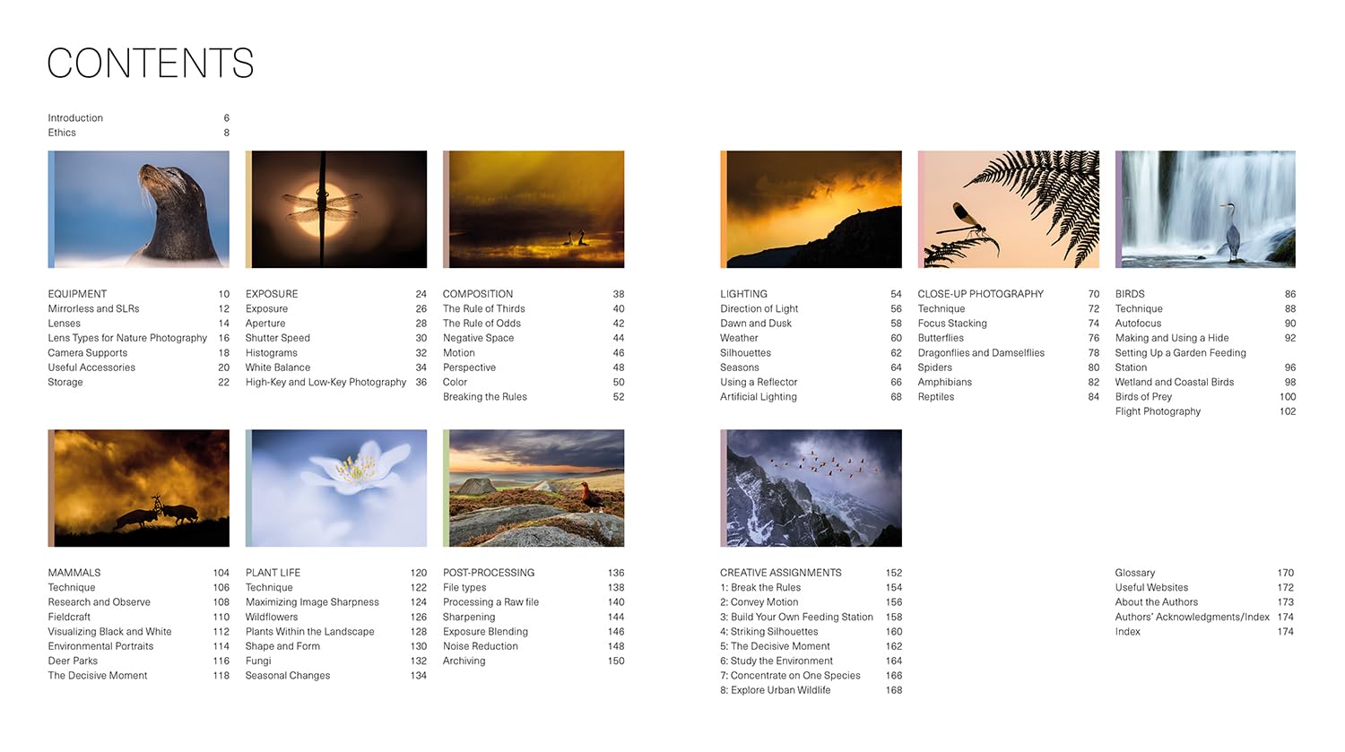 Wildlife Photography Workshop, The