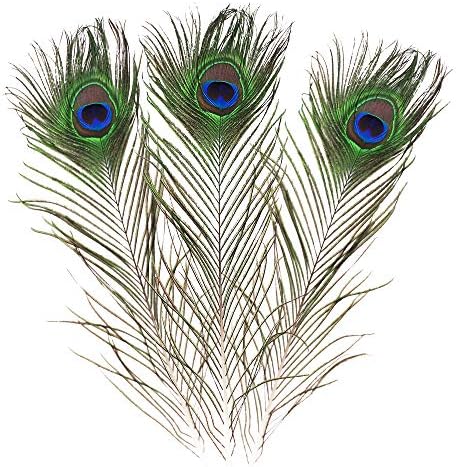 Featured Real Natural Peacock Feathers 16-18 inches (40-45cm) Great Wedding Christmas Halloween Decorations House Decoration (Natural 10pcs)