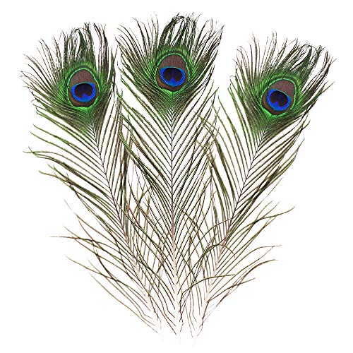 Featured Real Natural Peacock Feathers 16-18 Inches (40-45Cm) Great Wedding Christmas Halloween Decorations House Decoration (Natural 10Pcs) #TOP10