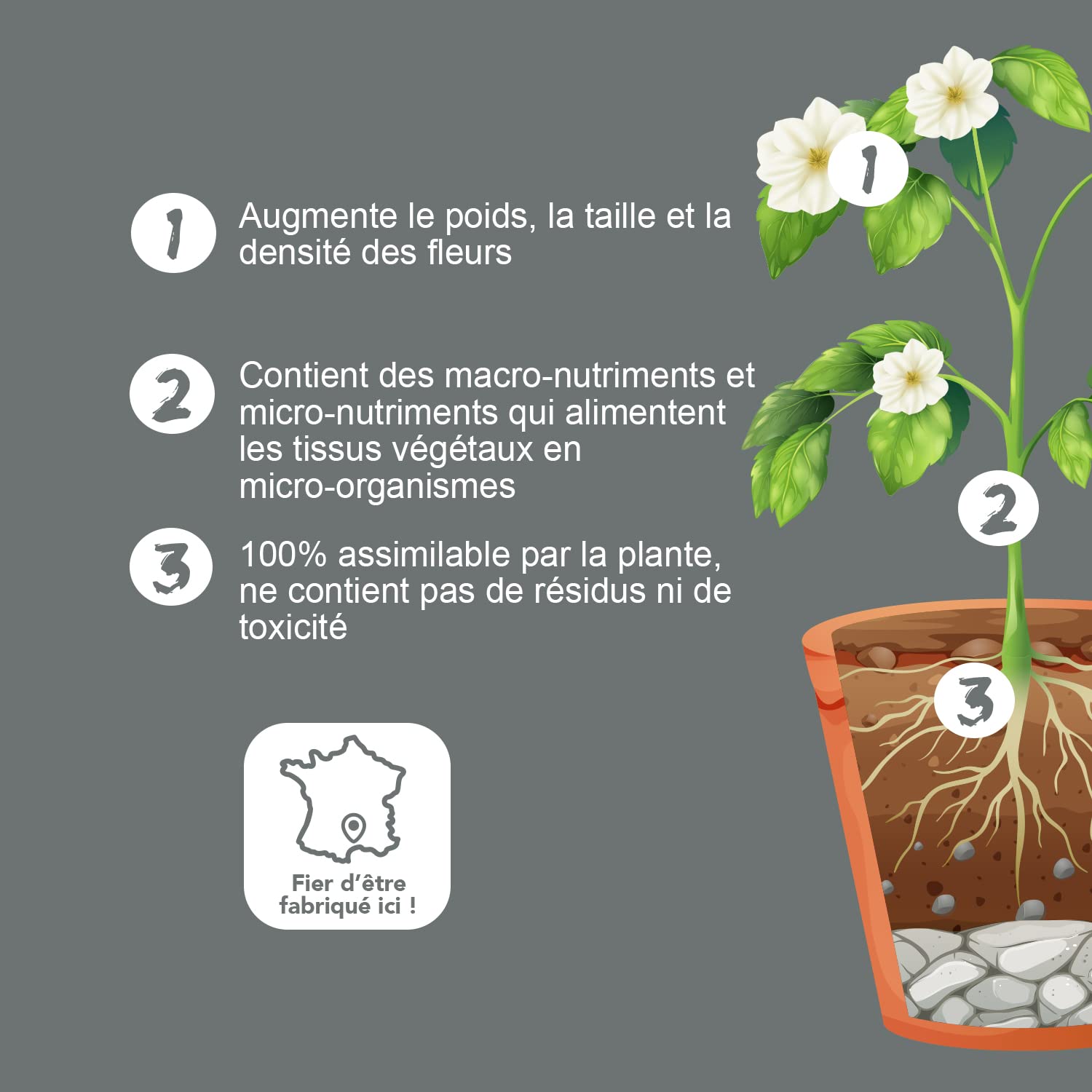 Bio Technology® | Additif Floraison | Engrais Floraison | fertilisant Floraison | Engrais Minéral Foliaire | Haut Rendement | Booster Augmente Le rendement | Blooming H 45 ML