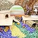 Niteangel Hamster-Spielplattform aus Holz für syrische Zwerghamster, Rennmäuse, Mäuse, Degus oder andere kleine Haustiere (L x B x H): 30 x 21 x 15 cm, Burlywood