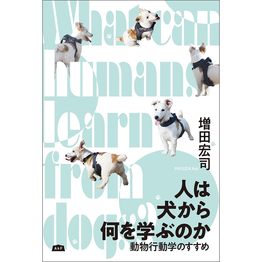 渡辺　宏氏　ふかふかとした犬 614SR0l7HSL.jpg