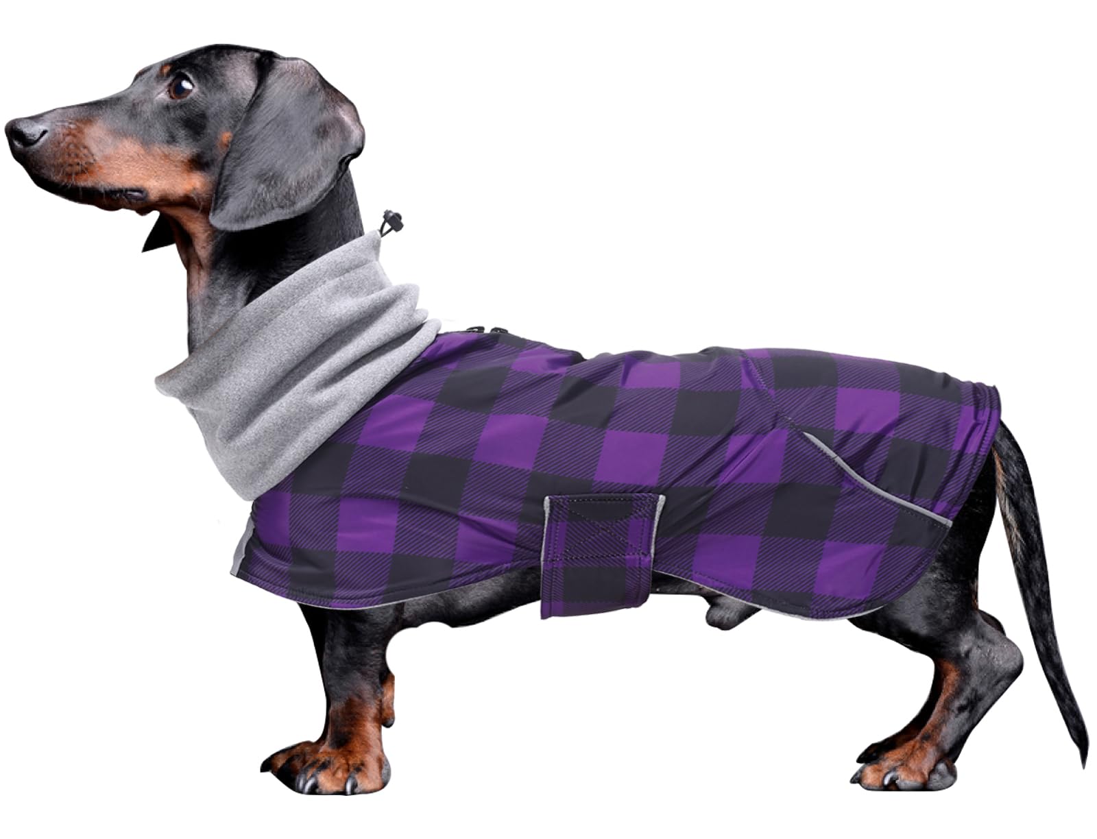 Morezi Dachshund Coats Waterproof Suitable for Dachshunds Sausage Weiner Dog Winter Coat Padded Fleece Puppy Snowsuit with Adjustable Bands Reflective Stripe PlaidPurple S