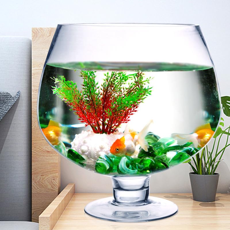Acuario pequeño de vidrio resistente que evita fugas pecera compacta de mesa 6