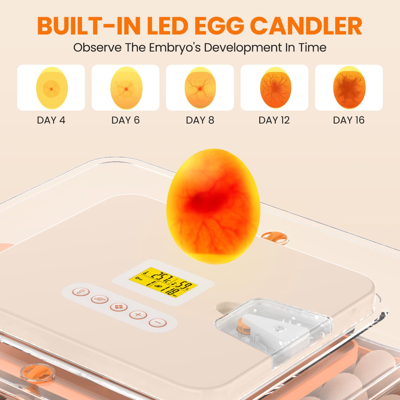 Incubadora de Huevos Automática 56 Huevos, Incubadora Huevos Gallina, Volteo y Recarga de Agua Automáticos, Pantalla + Alarma Temp/humedad, para Huevos Gallina, Pato, Codorniz