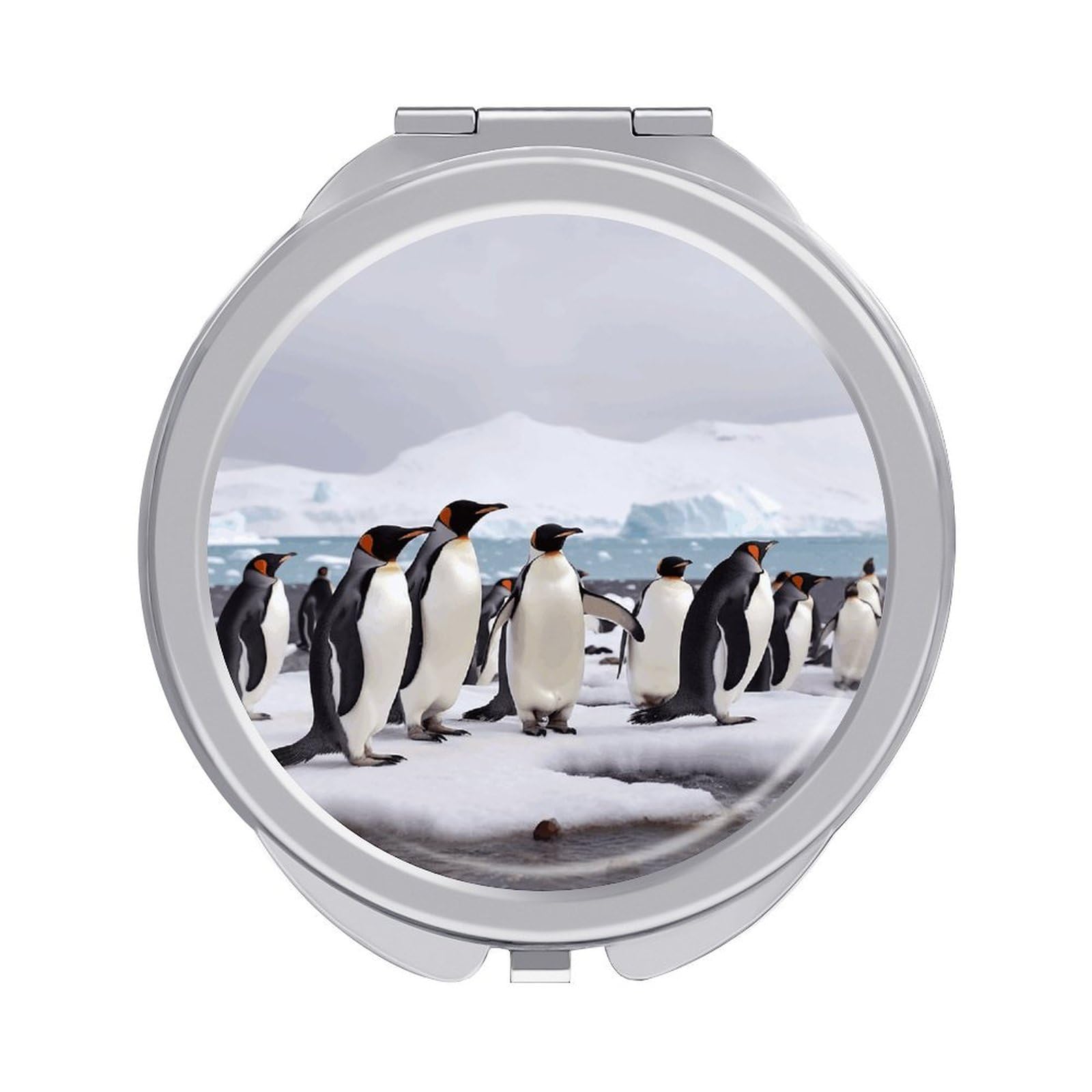 VstaDank Antarctica Penguins Compact Mirror for Purses Round Fashion Travel Makeup Mirror 2X /1x Magnifying Double Sides Mini Mirrors Portable Pocket Mirrors for Handbag Purse Women Gift