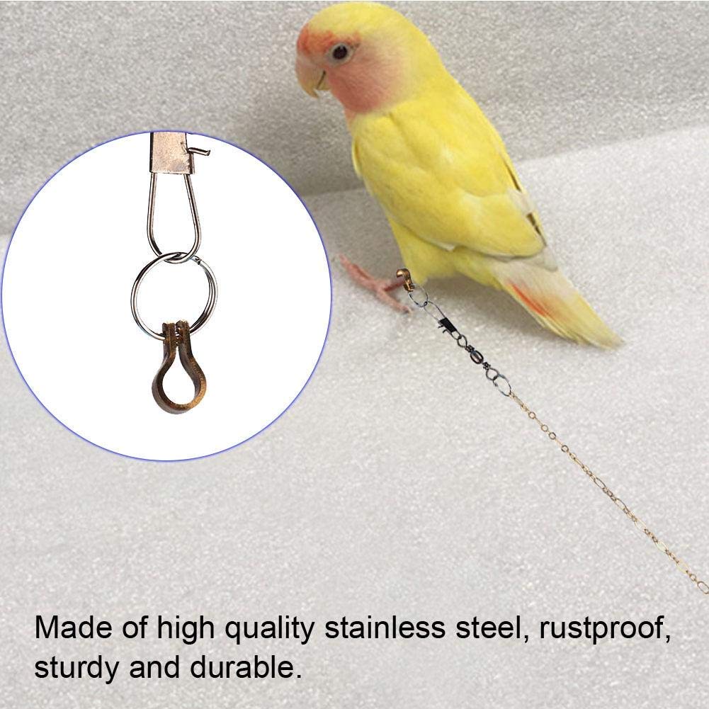 Stainless Steel Parrot Foot Chain - Training Anklet Ring With Rotating Clasp For Large Birds