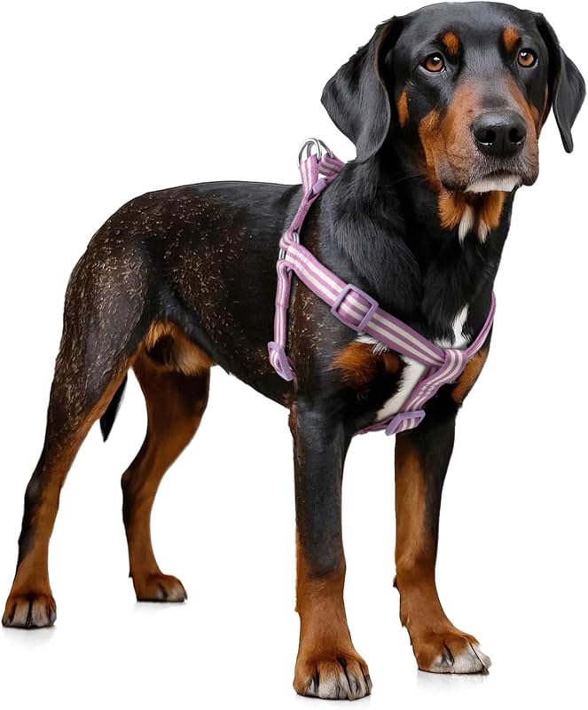 Peitoral Tipo Cabresto para Cães Tiffpaws em Nylon Roxo XS, Ajustável e Leve