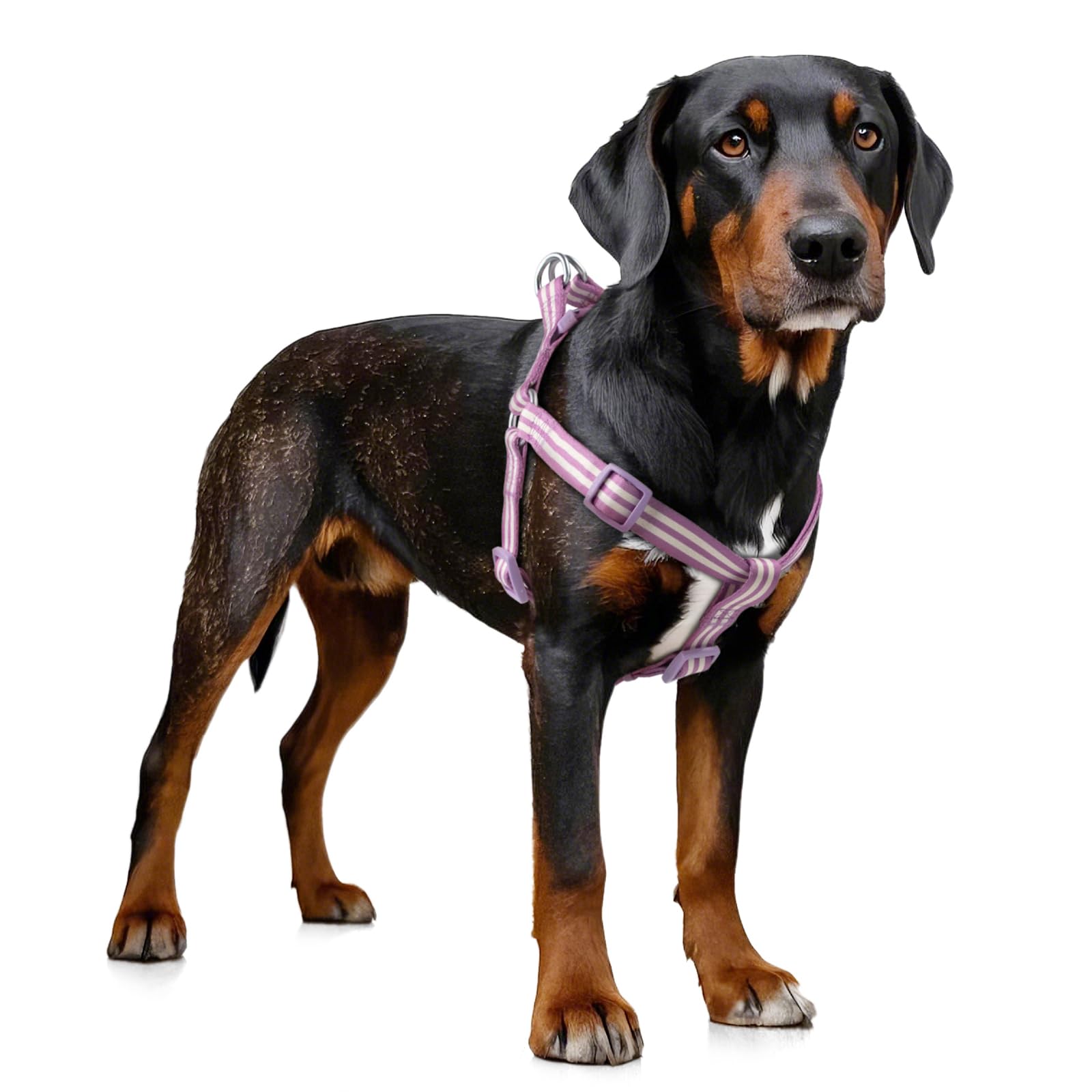 Tiffpaws Stripe Step in Dog Harness for Small Dogs, Freedom Nylon Dog Halter Vests, Lightweight and Escape Proof Puppy Harness, Quick Fits for Small