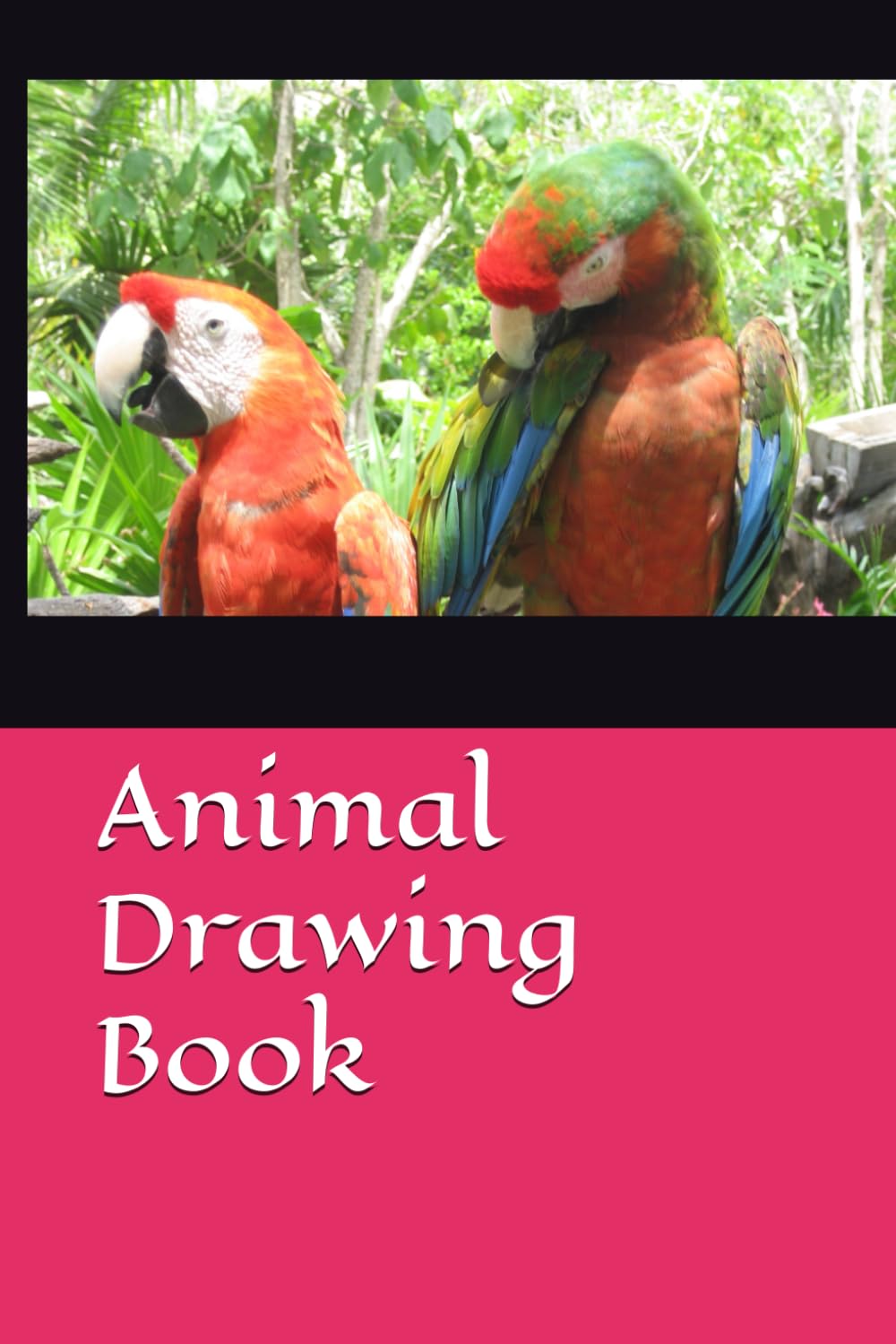 Fish skitch drawing book