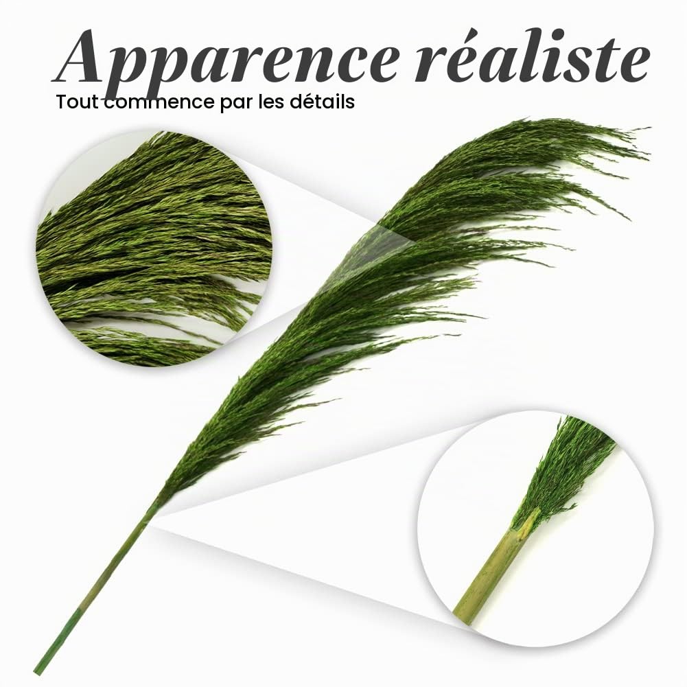 Lot de 8 Herbes de Pampa Vertes Séchées - 80 cm - Décoration Naturelle Salon - Plantes Séchées Parfumées - Style Bohème Chic - Intérieur Maison - Décoration Murale Élégante