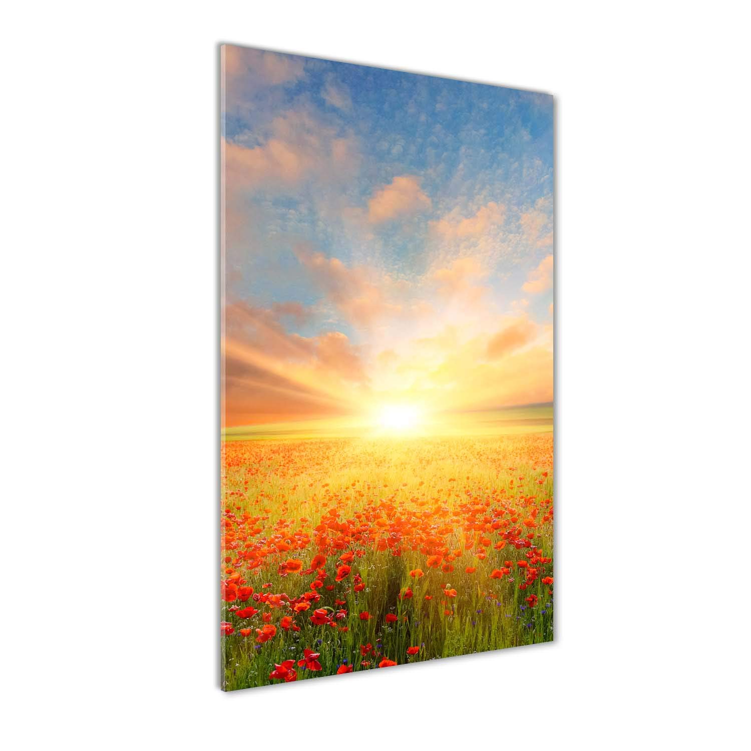 Tableaux pour la mur acrylique Tulup 50x100 cm | Solution déco salon lumineuse