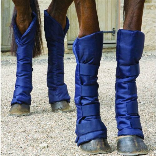 William Hunter Equestrian Travel Sure Economy Travel Boots, in Navy, Medium