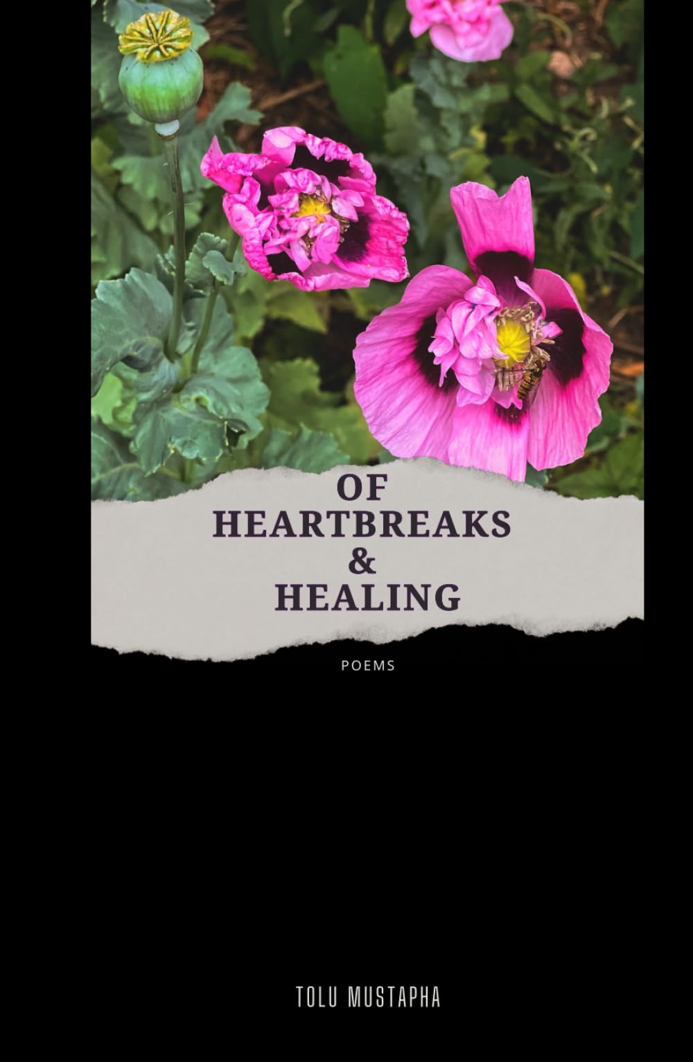 OF HEARTBREAKS & HEALING