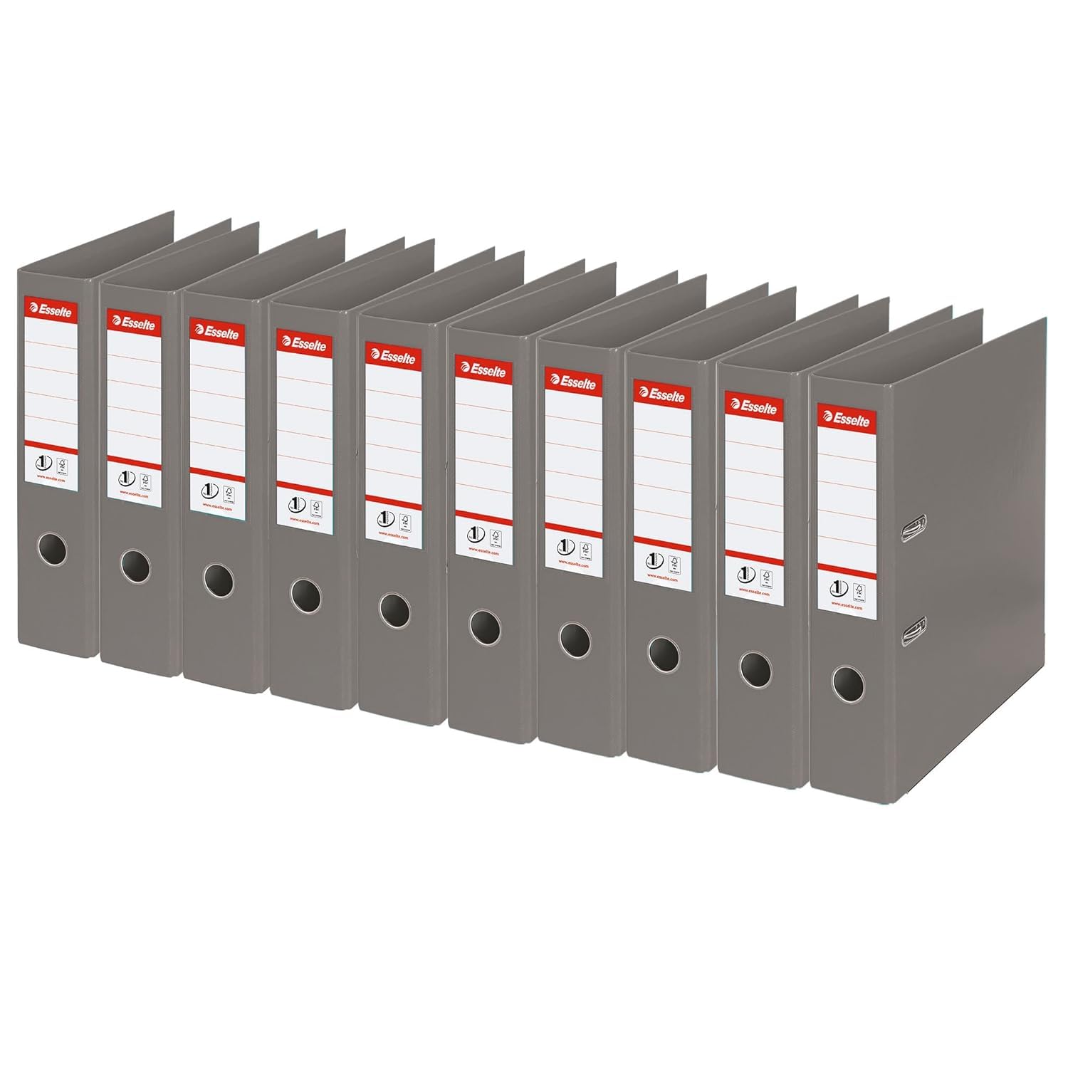 Esselte 811380 cartella Grigio A4