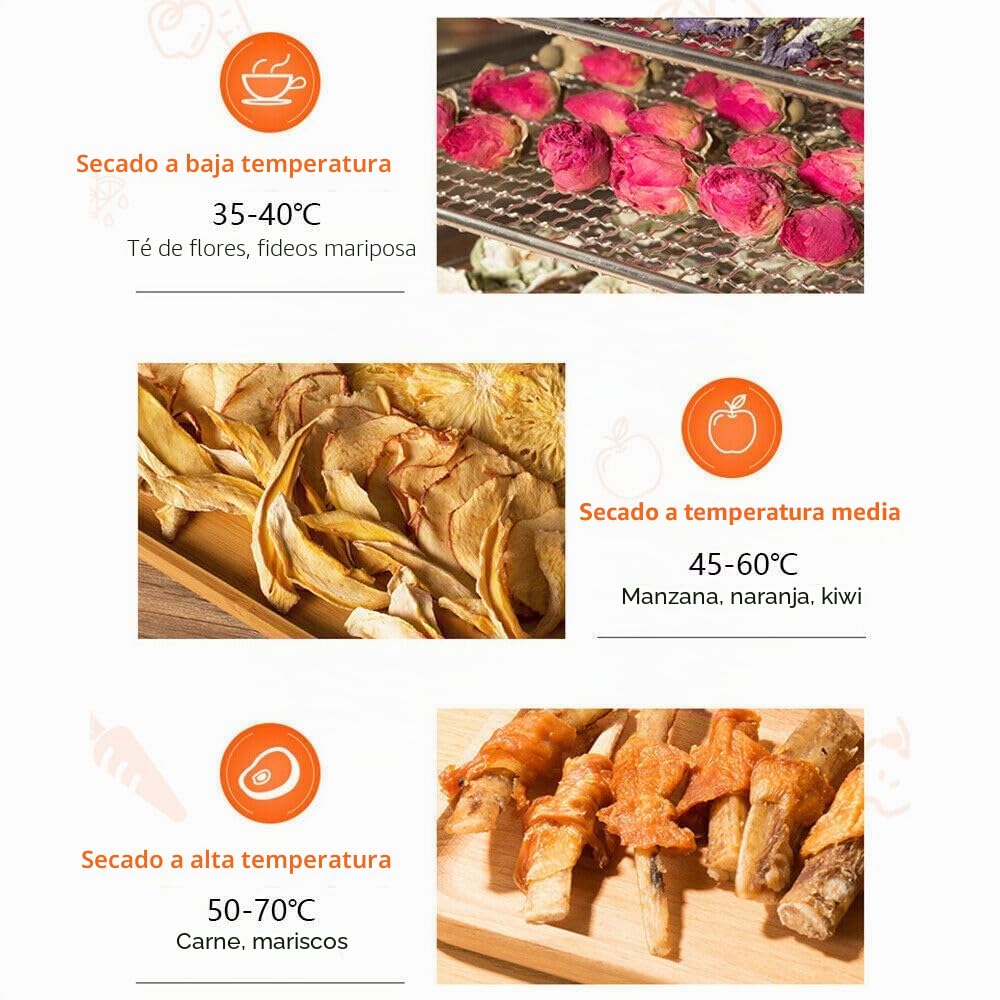Deshidratador de Alimentos de 6 Niveles - Secador de Frutas Para el Hogar Con 6 Plantas - Acero Inoxidable