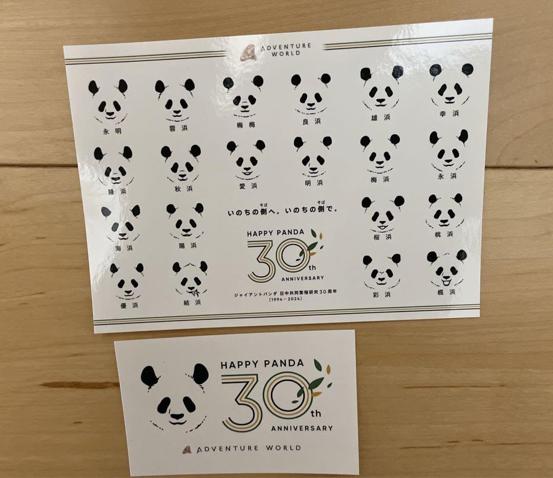 30周年2025 パンダクリアファイル