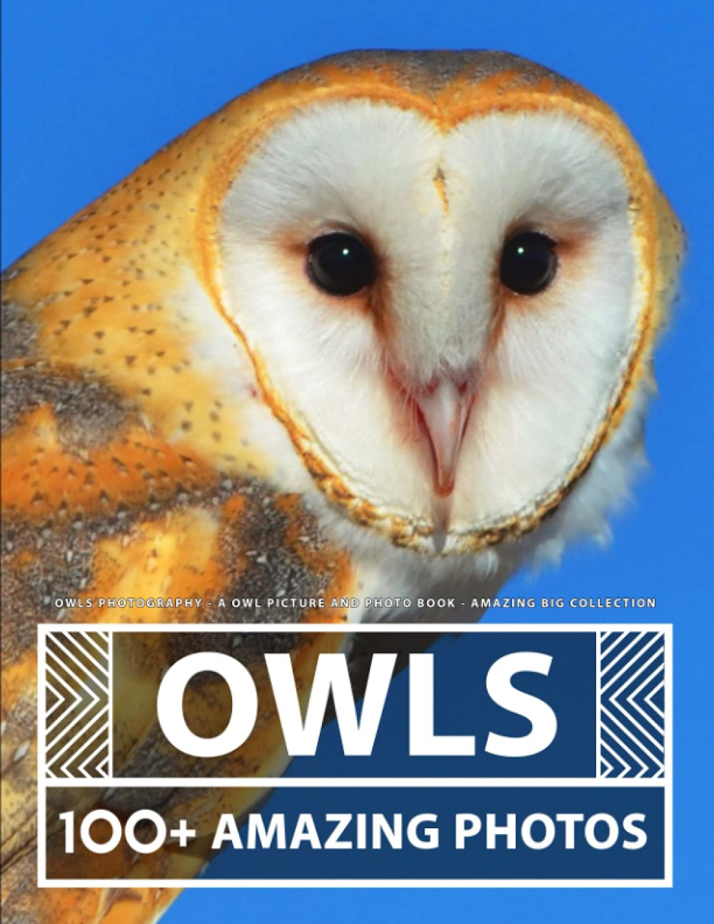 Buy Owls Photography A Owl Picture and Photo Book Amazing Big