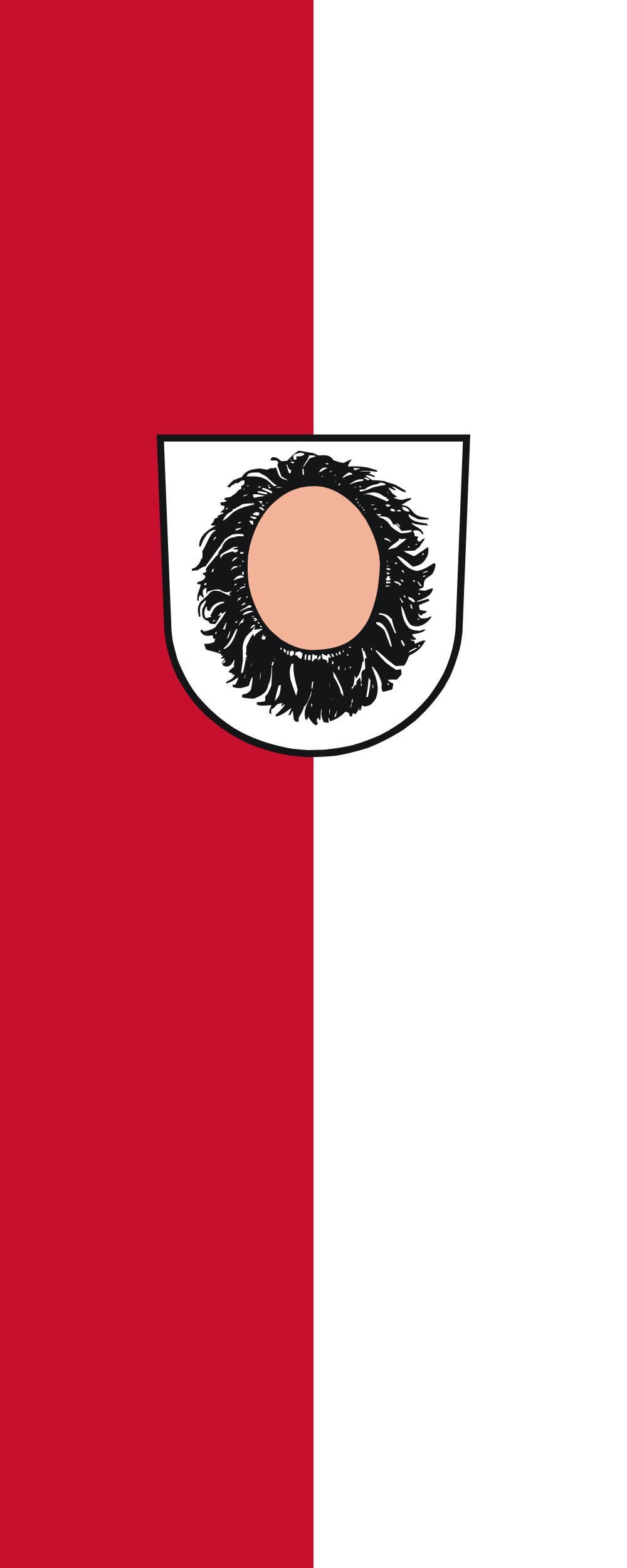 Drapeau Pfaffenhofen grand format portrait 3.5m² pour mât extérieur