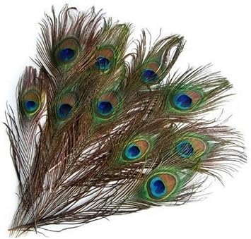 10 Pieces Natural Real Peacock Eye Feathers, Tail Feathers For Wedding, Party, Holiday And Home Decoration And Diy Crafts Convenient