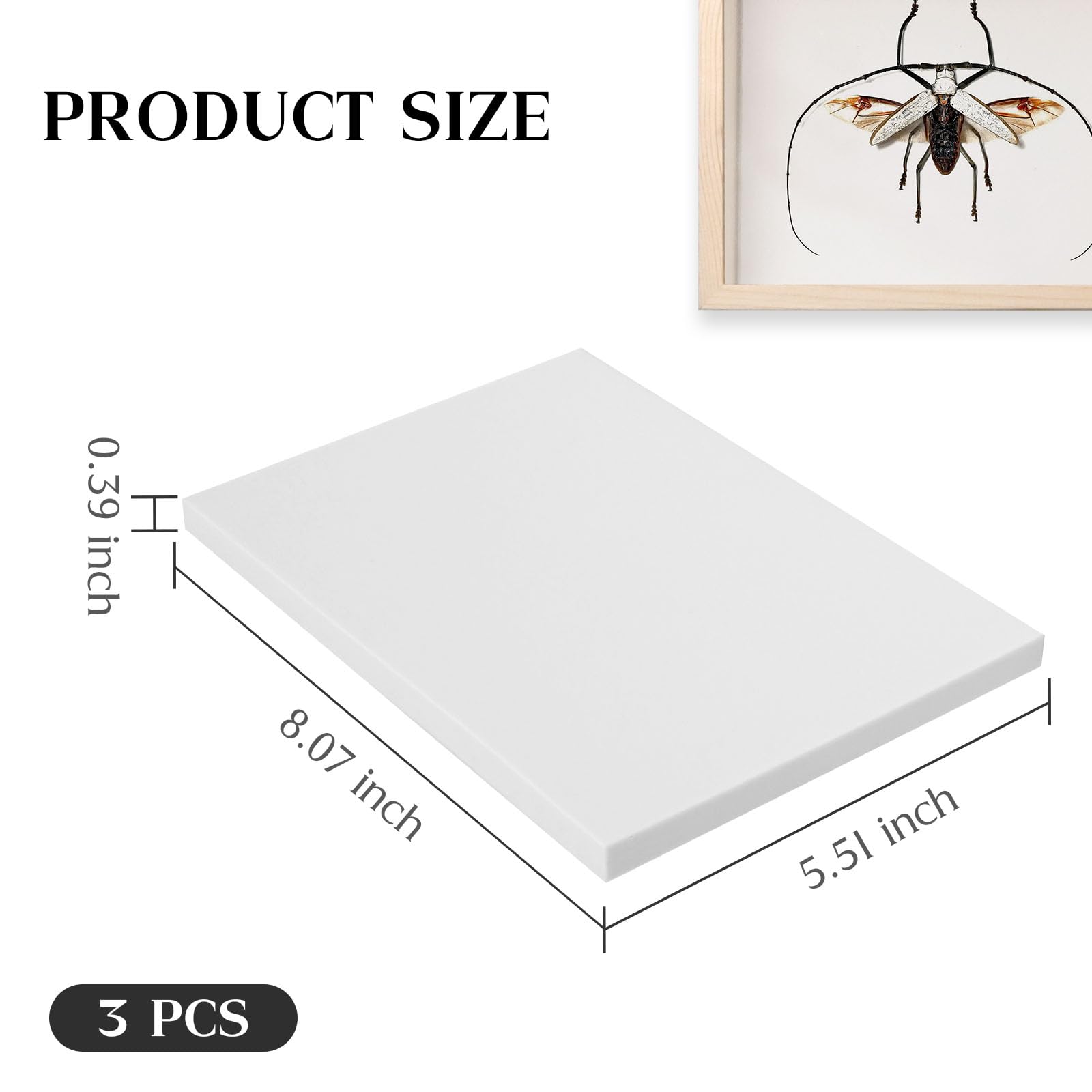 Saihisday 3Pcs insetto pinning board esemplare pannello di visualizzazione EVA Foam Boards, campione diffusione bordo farfalla spargere ali per la scienza educazione progetto/raccolta di insetti