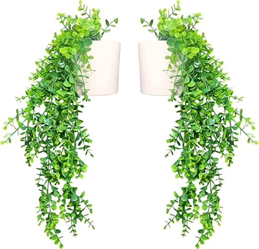 Buy Well Art Gallery Plastic Set Of 2 Hanging Artificial Plants Without