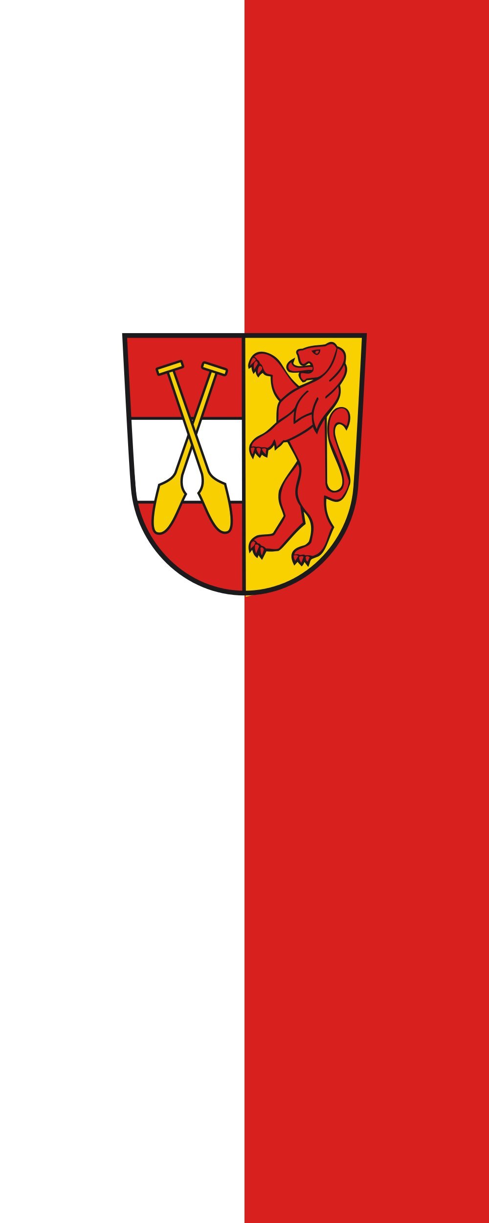 Drapeau Riedlingen portrait 300x120cm pour un pavoisement visible