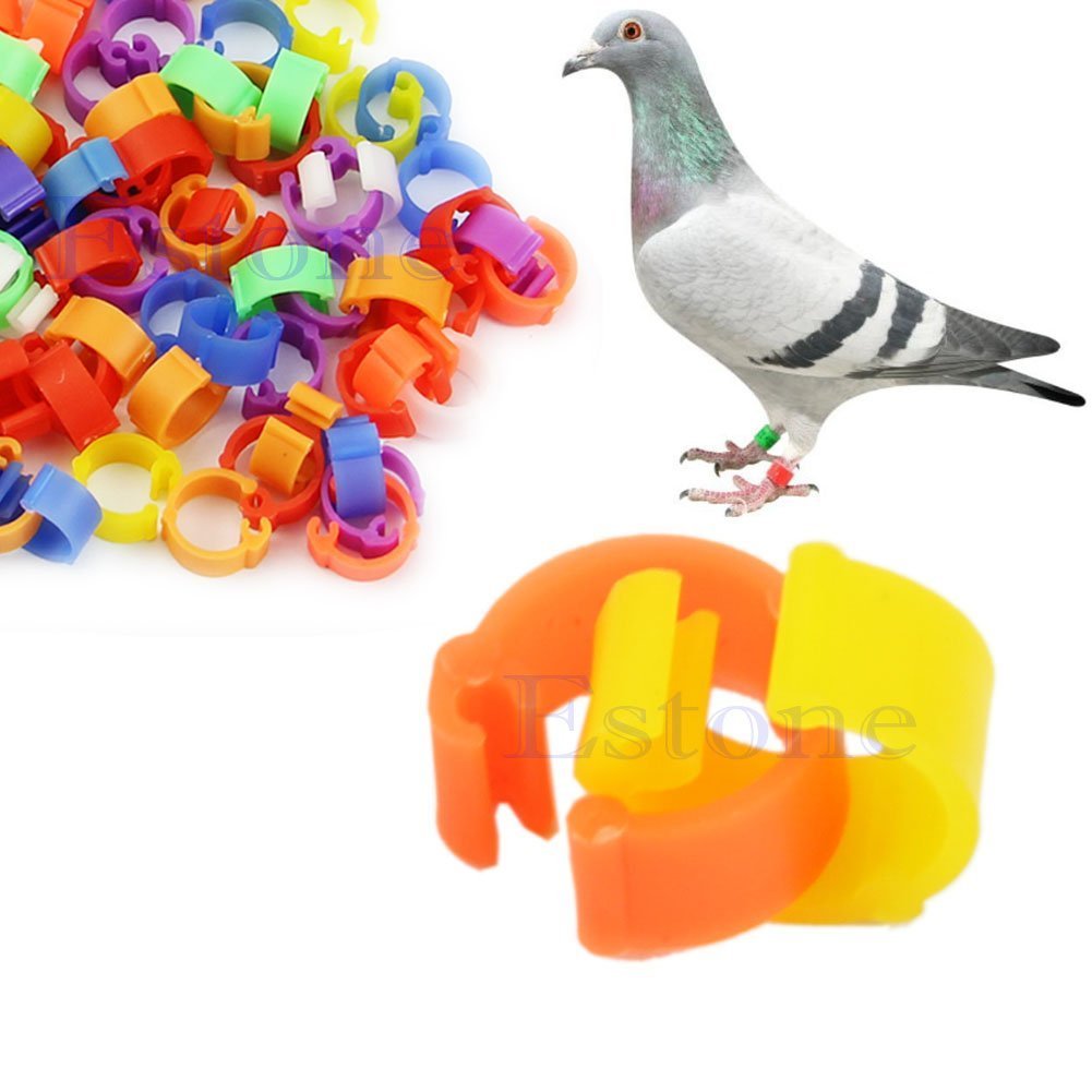 100 Pcs Bagues/Anneaux de Pied pour Oiseaux/Pigeon Pignon Anneaux d'Identification A Pieds pour Oiseaux, Couleur Aleatoire (Plastique)