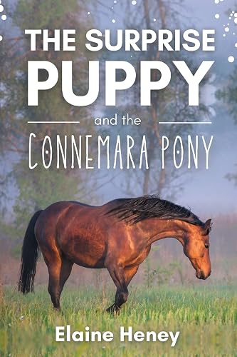 The Surprise Puppy and the Connemara Pony - The Coral Cove Horses Series: 3 (Coral Cove Horse Adventures for Girls and Boys)