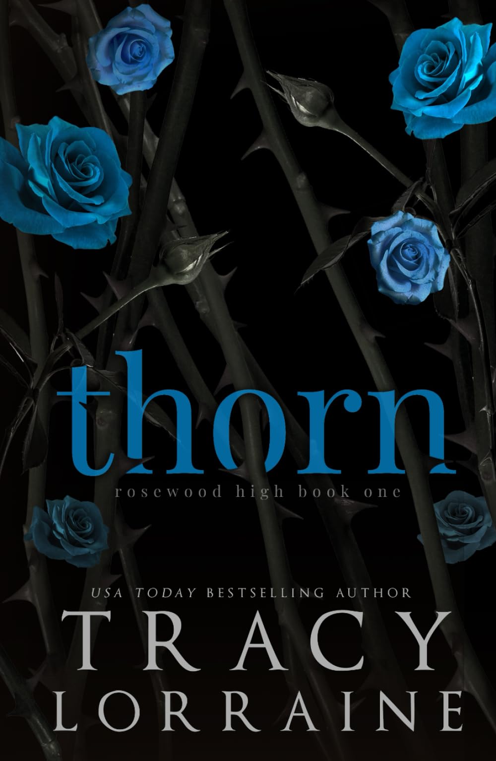 Thorn: A High School Bully Romance (Rosewood High Alternate Editions)