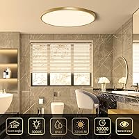 Vista 23 de 12 Inch Gold LED Ceiling Light, 3000K Warm White, 24W Gold Flush Mount Ceiling Light, 3200LM Round Low Profile Ceiling Lights for Bedroom, Living