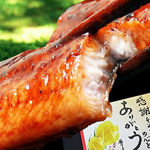 ギフト 土用 丑の日 国産（宮崎県産・鹿児島県産）炭火焼うなぎ蒲焼 2尾入 特大(1尾約230g前後～250ｇ前後) おのみち発 有頭