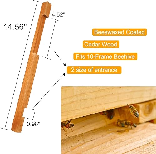 Miniatura 2 de BeeCastle Beeswaxed Beehive Reductor de entrada de colmena de madera 10 Marco Colmena de abejas recubierto de cera de abeja Protector de entrada