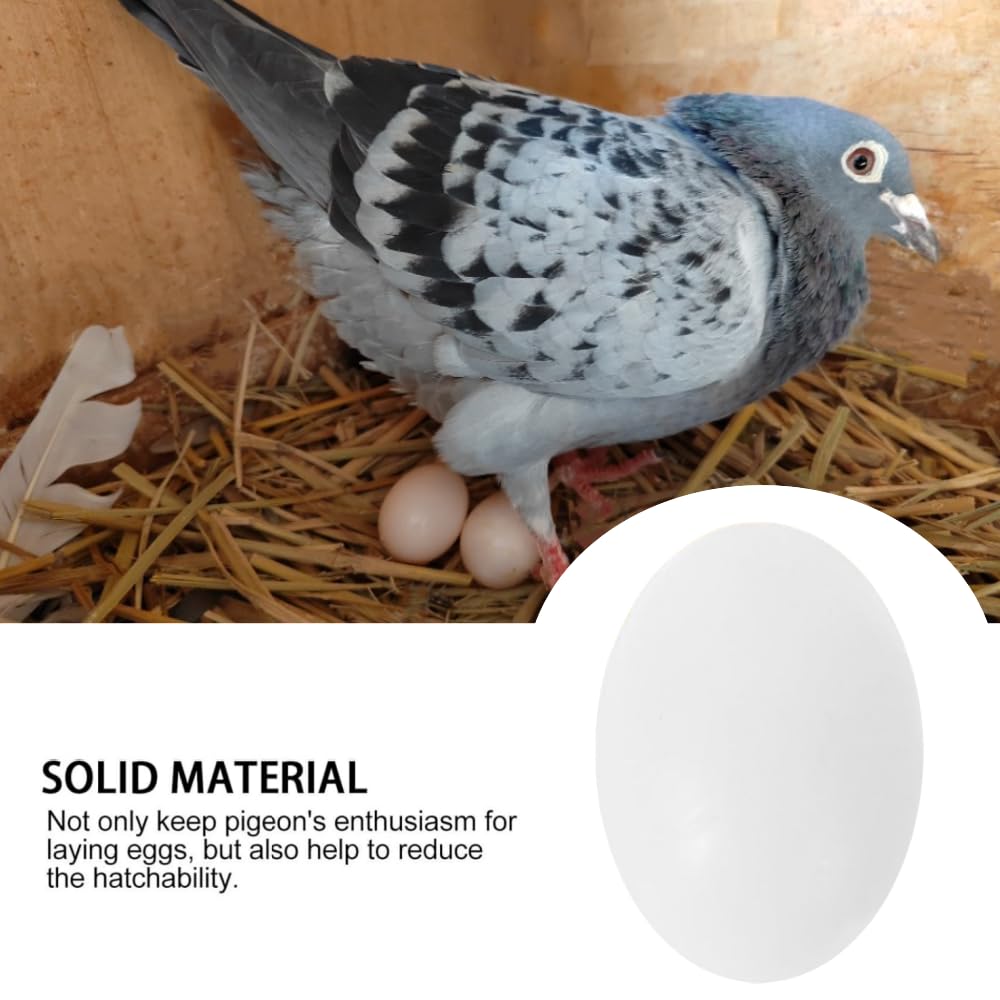 White Fake Eggs Solid Plastic Dummy Pigeon Eggs for Pigeons Bird DIY Easter Crafts (20 PCS) - Image 2