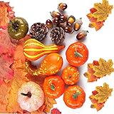 Amplio Uso: Muy adecuado para Halloween, decoraciones de Acción de Gracias, decoraciones de bodas de otoño, decoraciones de cumpleaños de otoño, decoraciones de fiestas temáticas de otoño y excelentes accesorios de tiro.