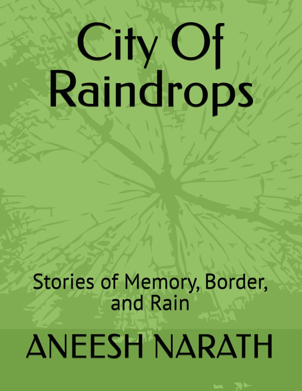 City Of Raindrops: Stories of Memory, Border, and Rain