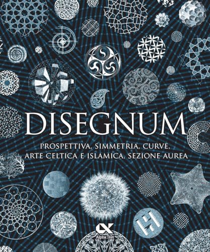 Disegnum. Prospettiva, simmetria, curve, arte celtica e islamica, sezione aure