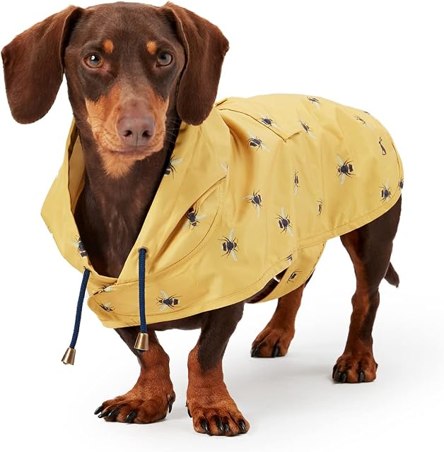 Rosewood Joules Go Lightly Packaway Jacket For Dogs, Medium